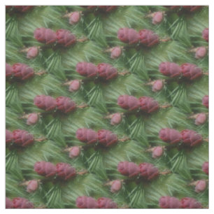 Tecido Padrão Natureza do Miniatura Pine Cones