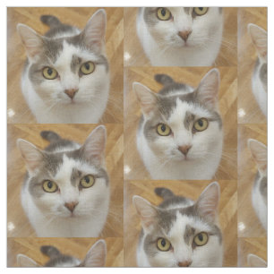Tecido Padrão Personalizado de Fotografia de Gato de Pet