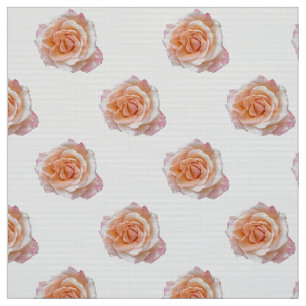 Tecido Padrão Rosa Rosa Rosa Rosa Semimetizada