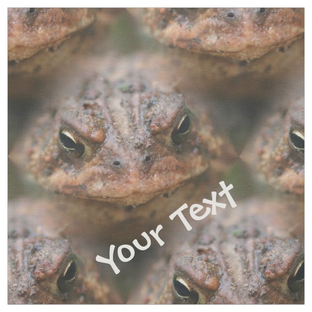 Tecido Padrões De Animais Cute Brown Toad Face (Modelo)