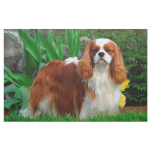 Tecido Painel de cães Blenheim Cavalier King Charles Spa