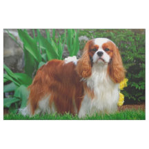 Painel de cães Blenheim Cavalier King Charles Span