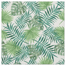 palmeira Modelo tropical deixa selva monstera verd
