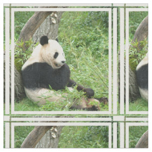 Tecido panda-4.jpg