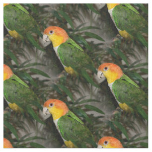 Tecido Papagaio Caique Branco com Árvore Bamboo