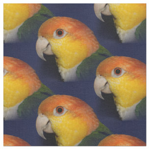 Tecido Papagaio colorido do Caique