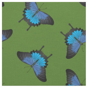 Tecido Papilio Ulysses Borboletas-do-mato-delgado