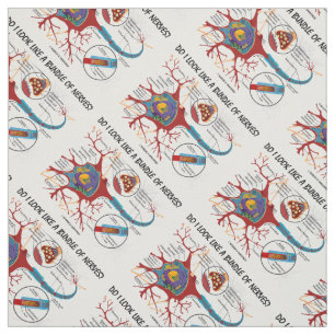 Tecido Pareço Um Conjunto De Nervos? Neuron Synapse