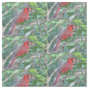 Tecido Pássaro cardinal vermelho