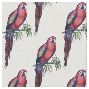 Tecido Pássaro Macaw Vintage