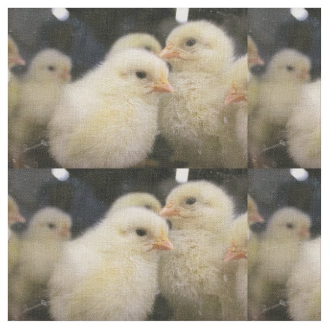 Tecido Peeps (Detalhe)