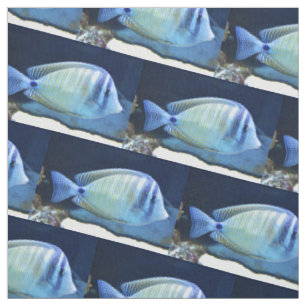 Tecido Peixe tropical