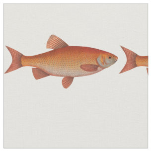 Tecido Peixes do ouro do vintage