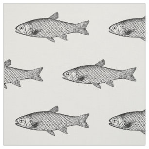 Tecido Peixes ordinários, escolha do fundo da cor