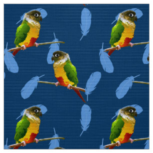 Tecido Penas Azuis de Aves de Caça Verde Conure
