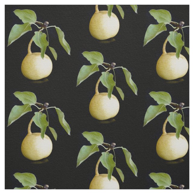 Tecido pera selvagem (Modelo)