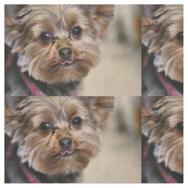 Tecido Pfft! (Detalhe)