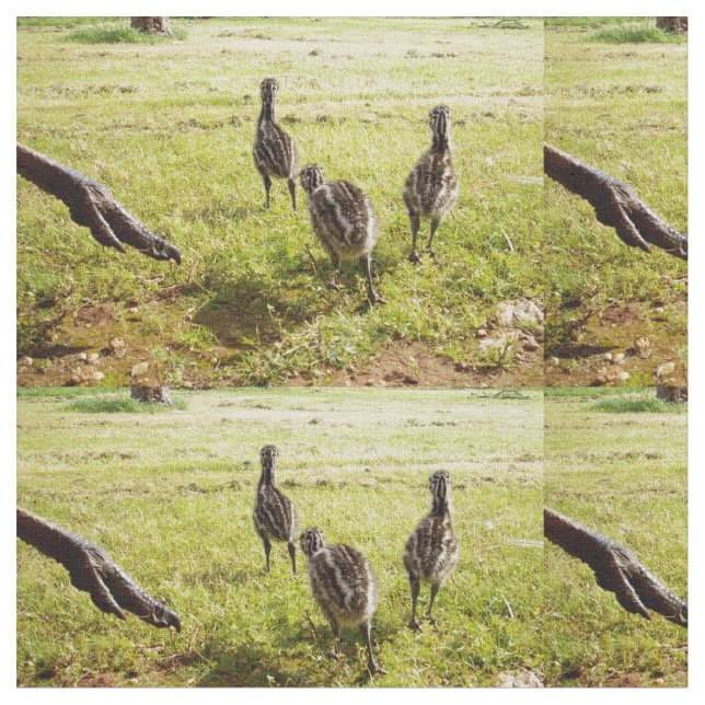 Tecido Pintinhos Emu Com Emu Grande Pé, (Detalhe)