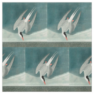 Tecido Pintura de aves selvagens do Ártico Tern Audubon