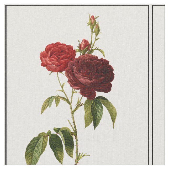 Tecido Pintura de rosas vermelhos profundos (Detalhe)
