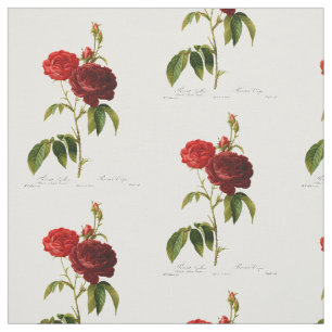 Tecido Pintura de rosas vermelhos profundos