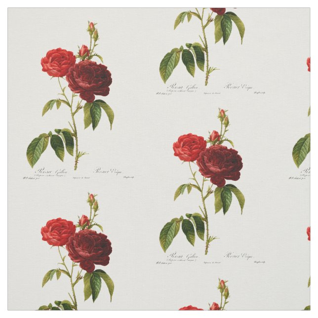 Tecido Pintura de rosas vermelhos profundos (Modelo)