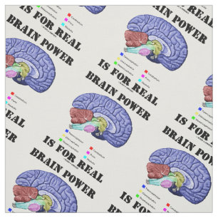 Tecido Poder Cerebral É Real Anatomia Cerebral Atitude