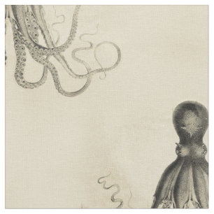 Tecido Polvo encalhado