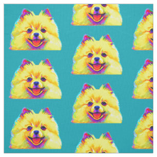 Tecido Pomeranian colorido