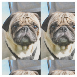 Tecido Pug q
