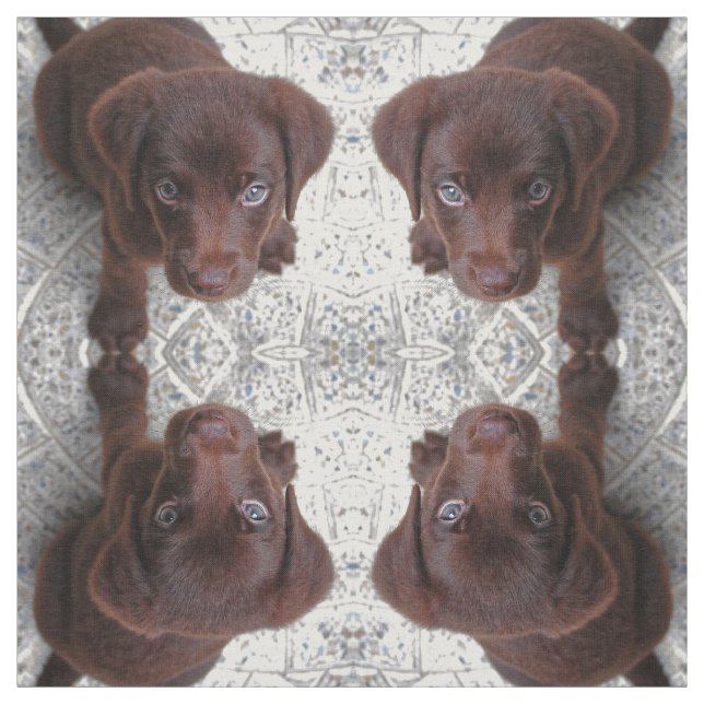 Tecido Puppy Love (Modelo)