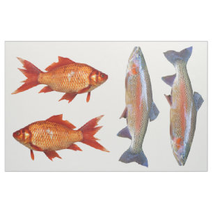 Tecido Quarto colorido da gordura dos peixes