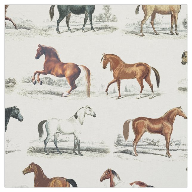 Tecido Rações Elegantes De Cavalos Vintage (Modelo)