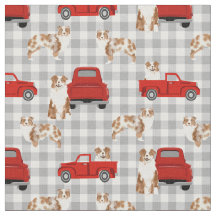 Red Merle Aussie e caminhão vermelho