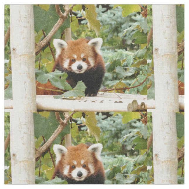 Tecido Red Panda (Detalhe)
