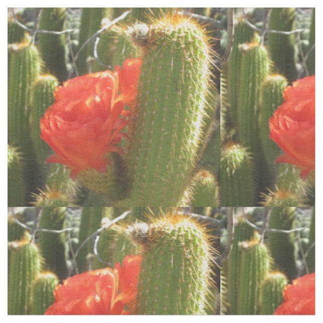 Tecido Red Torch Cactus (Detalhe)