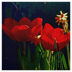 Tecido Red Tulip