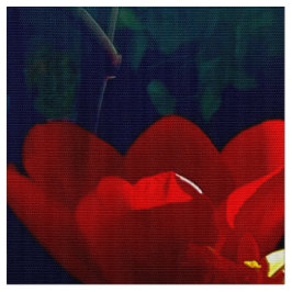 Tecido Red Tulip