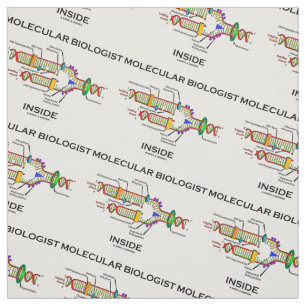 Tecido Replicação do DNA Dentro de biólogo molecular