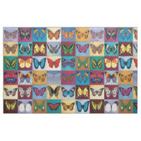 Retalhos da borboleta
