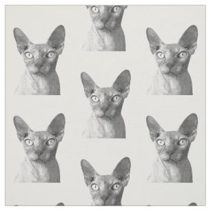 Tecido Retrato de Gato Esfinge Preto e Branco