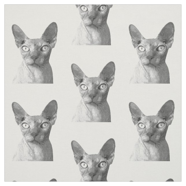 Tecido Retrato de Gato Esfinge Preto e Branco (Modelo)