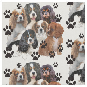 Tecido Retrato do grupo Cavalier Spaniels