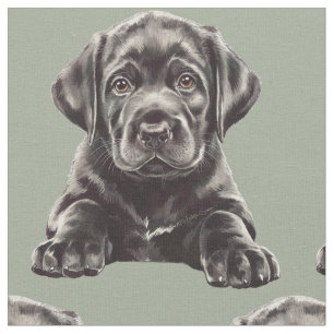 Tecido Retriever Labrador Preto