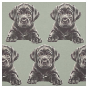 Tecido Retriever Labrador Preto
