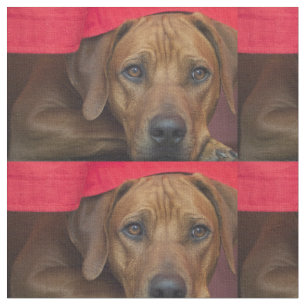 Tecido rhodesian-ridgeback