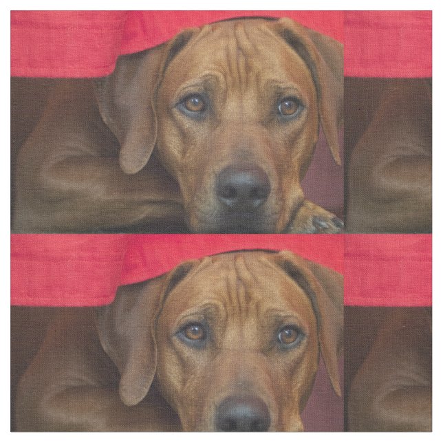 Tecido rhodesian-ridgeback (Detalhe)