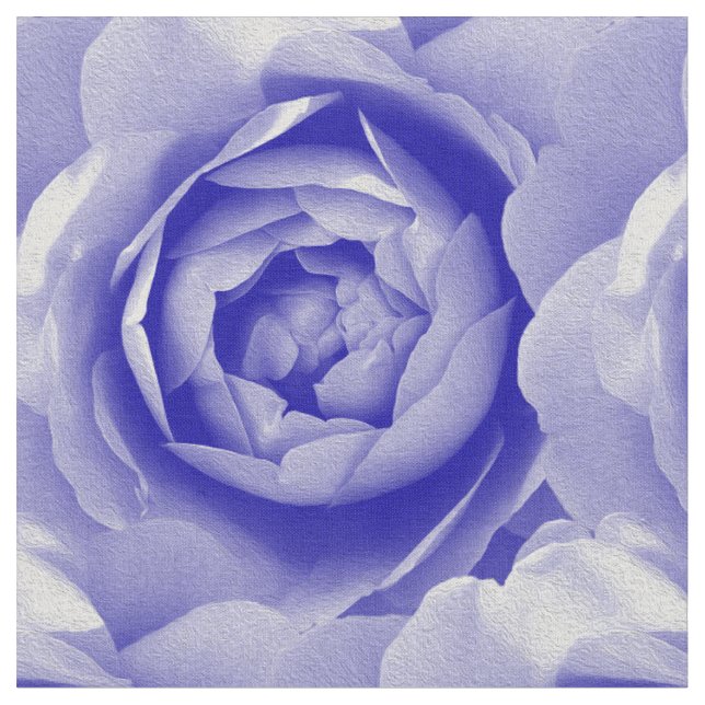Tecido Rosa azul (Detalhe)