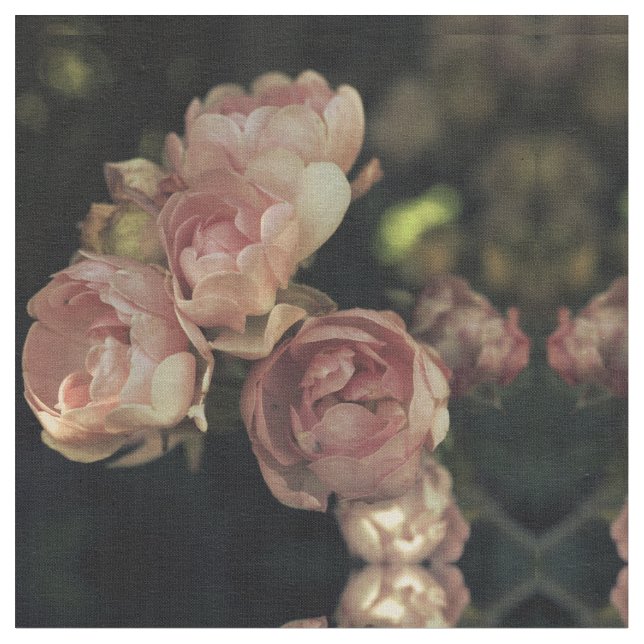 Tecido Rosas (Detalhe)