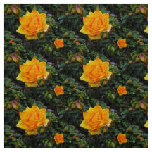 Rosas amarelos